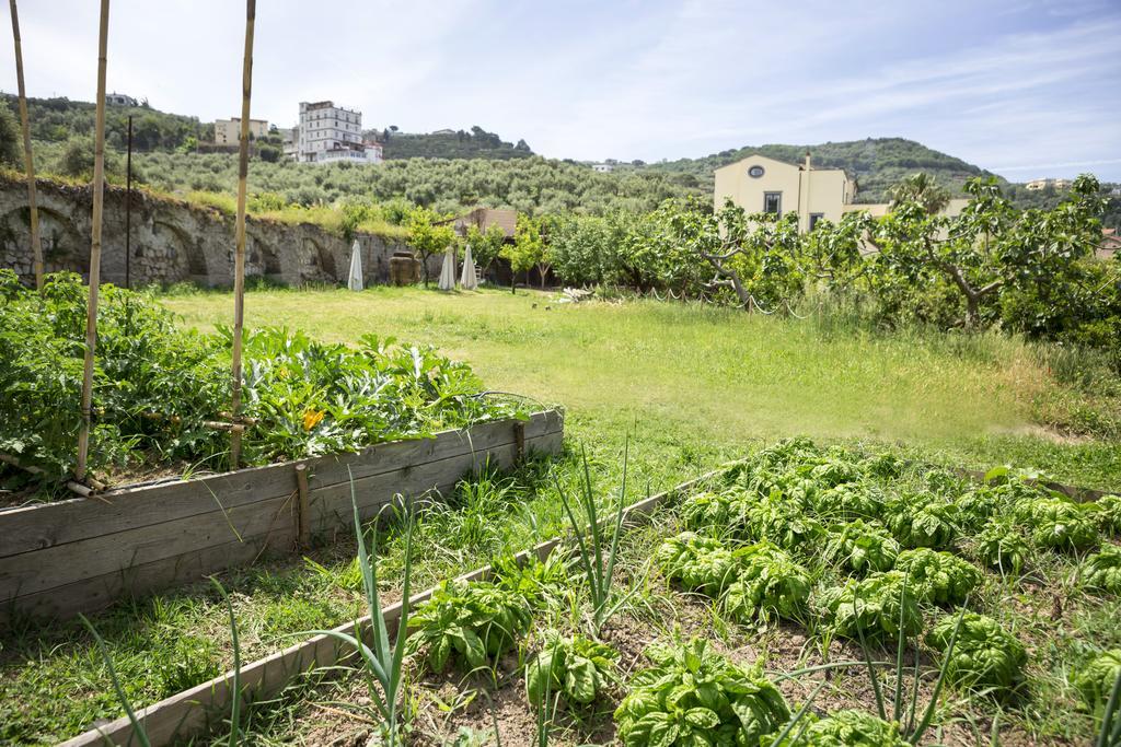 Relais Regina Giovanna Sorrento Bagian luar foto