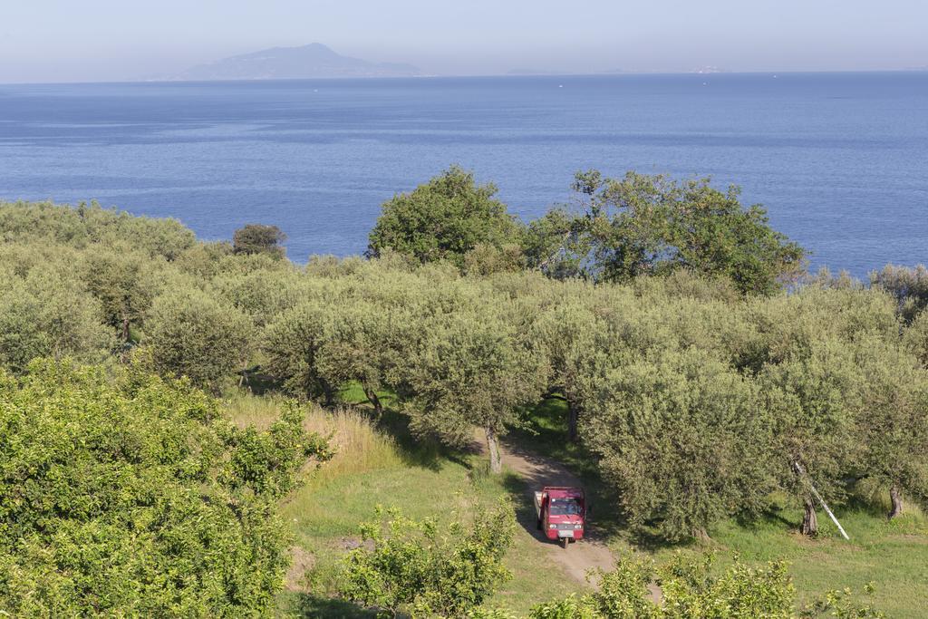 Relais Regina Giovanna Sorrento Bagian luar foto