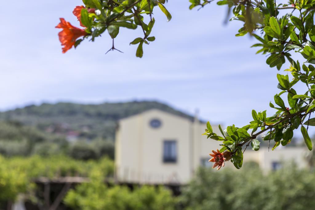 Relais Regina Giovanna Sorrento Bagian luar foto