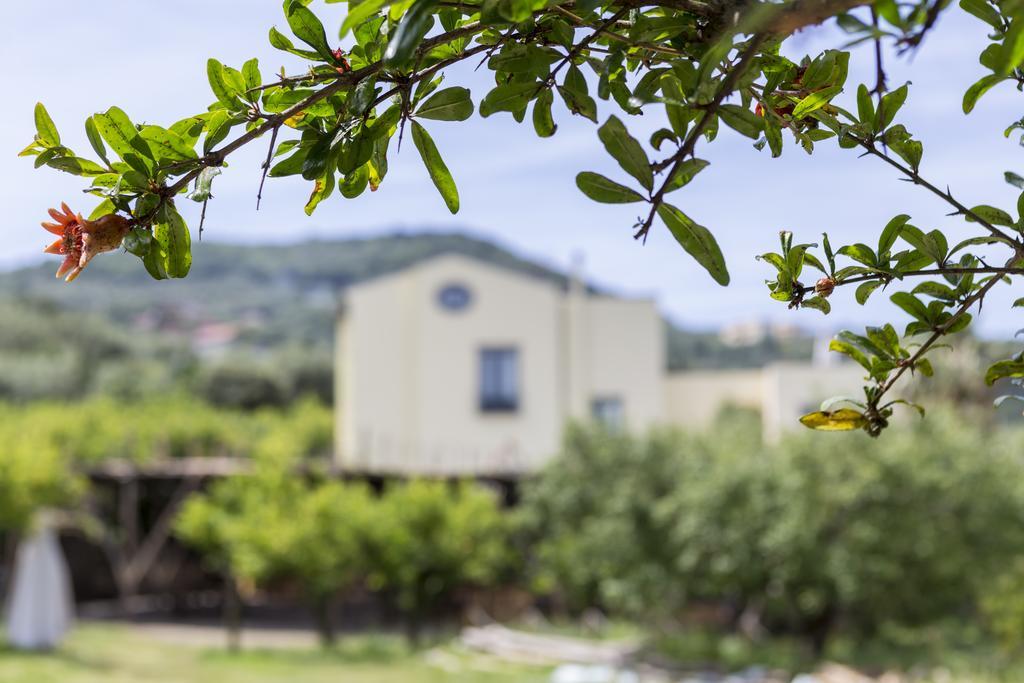 Relais Regina Giovanna Sorrento Bagian luar foto
